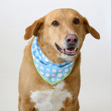 Dog Bandana, Blue Weave by Sara Fitz