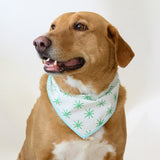 Dog Bandana, Green Star