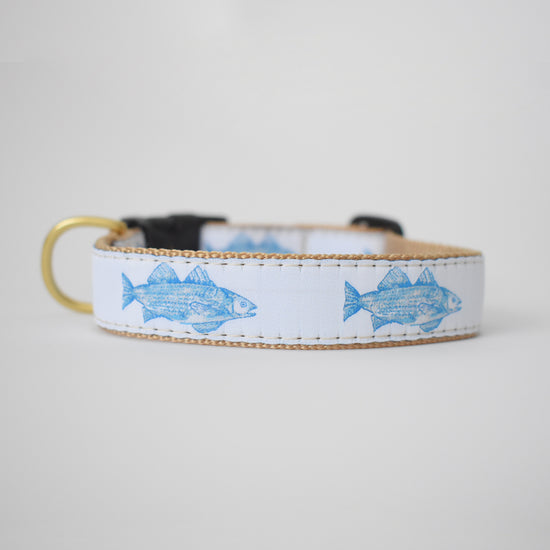 Dog Collar, Blue Fish