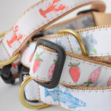Dog Collar, Strawberry by Sara Fitz