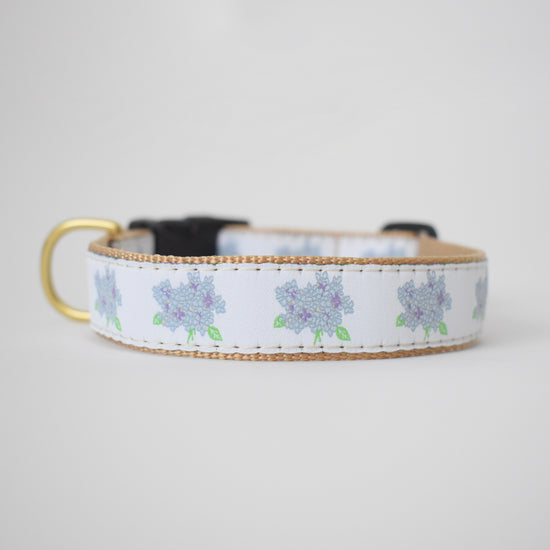 Dog Collar, Hydrangea