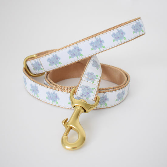 Dog Leash, Hydrangea