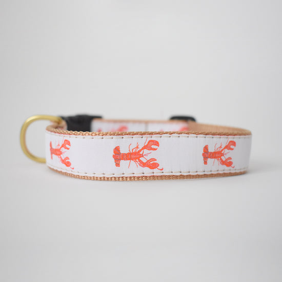 Dog Collar, Lobster