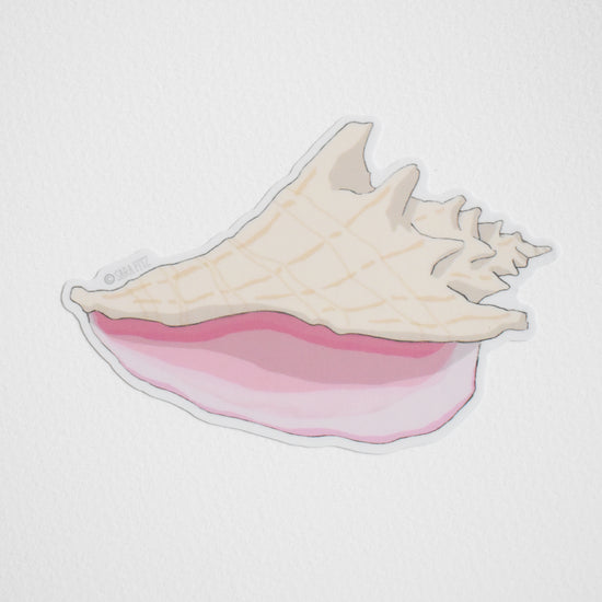 Conch Shell Sticker