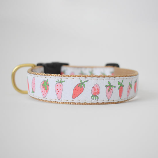 Dog Collar, Strawberry