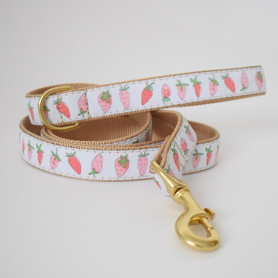 Dog Leash, Strawberry