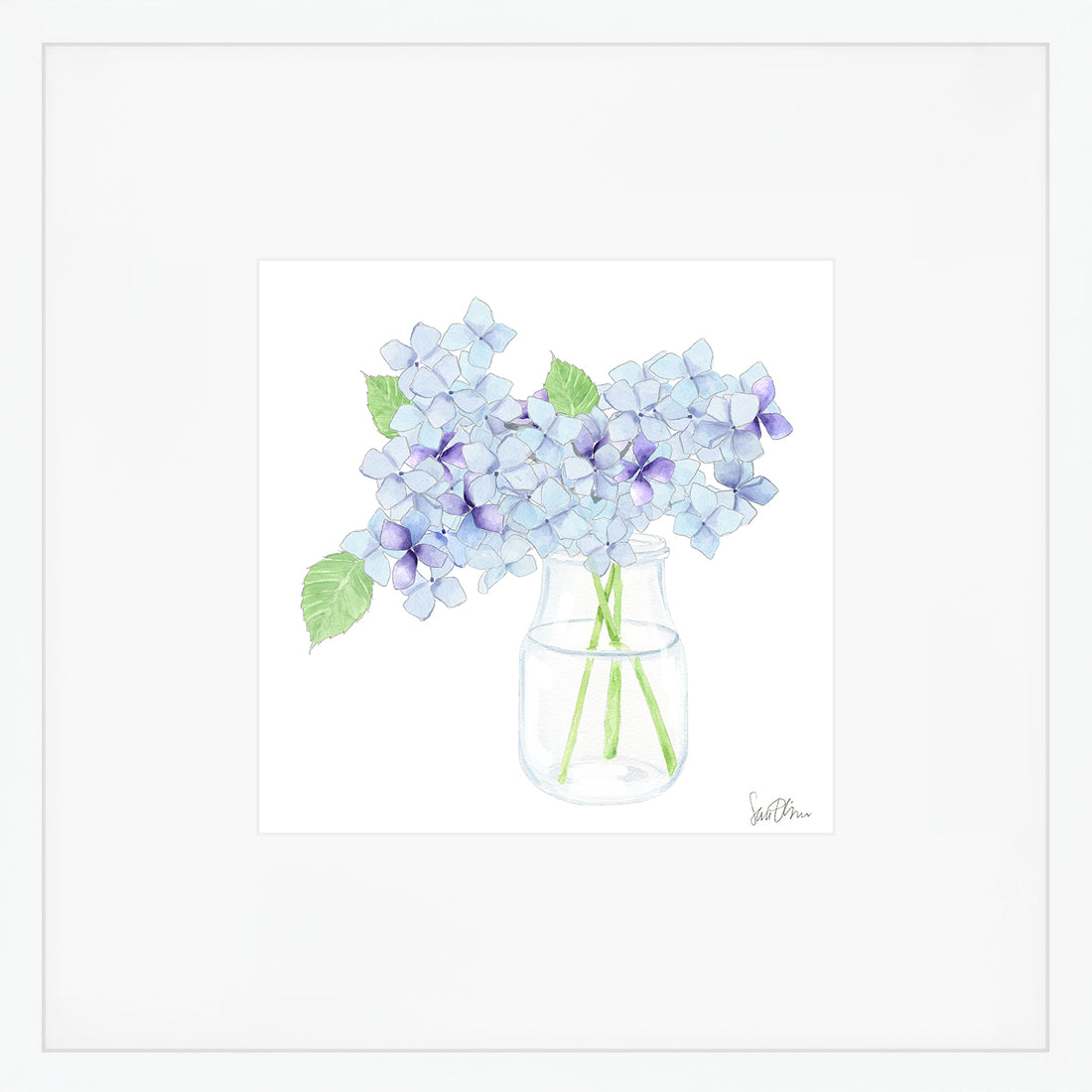 Hydrangea Art Print