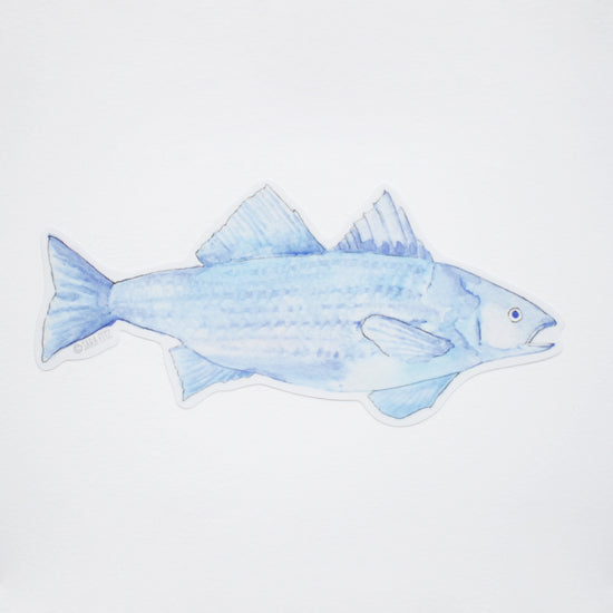 Blue Fish Sticker by Sara Fitz