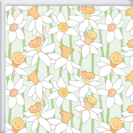 Daffodil Gift Wrap