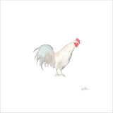 Rooster Art Print by Sara Fitz