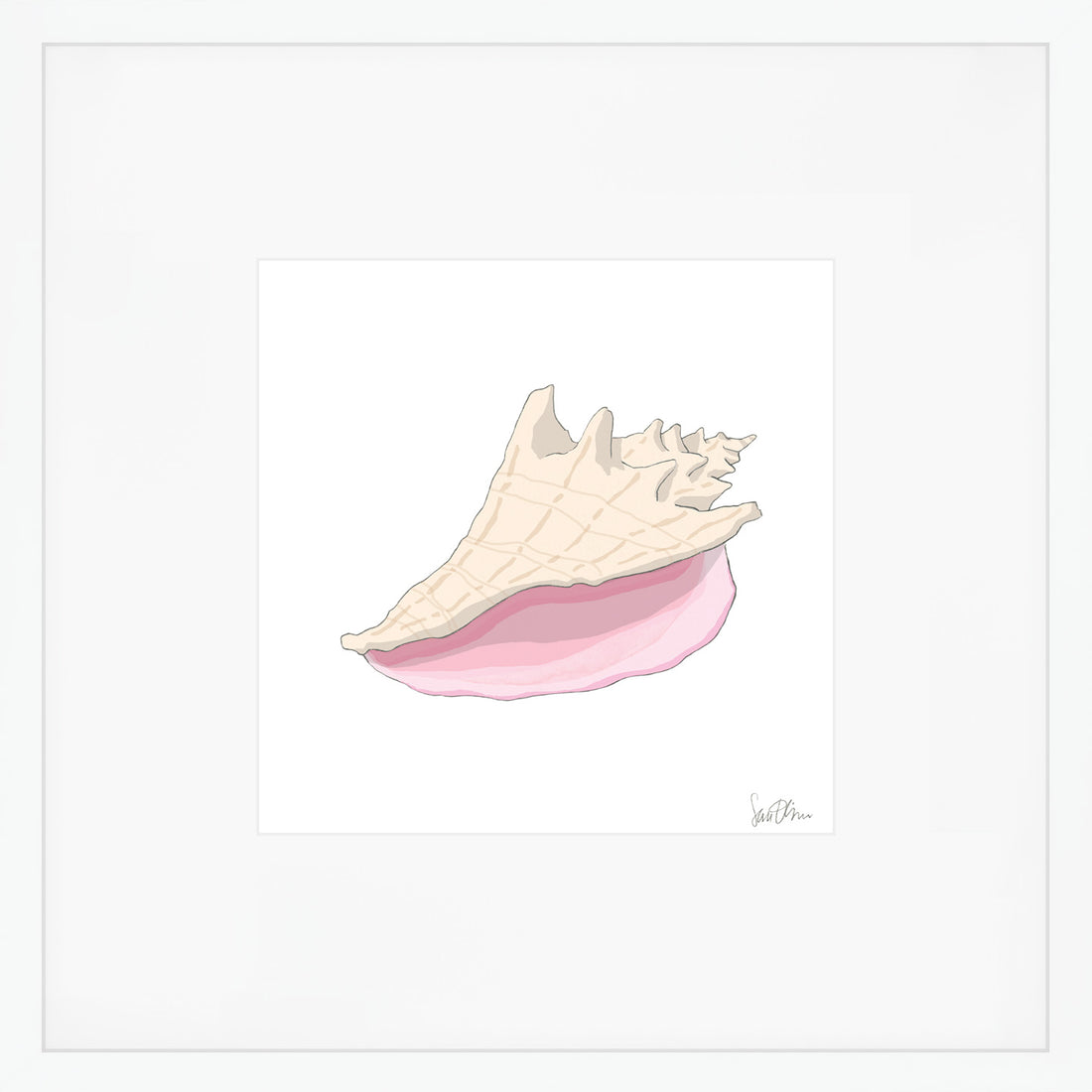 Conch Shell Art Print