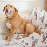 Sara Fitz Cozy Lobster ChappyWrap