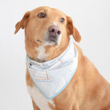 Dog Bandana, Sailboat