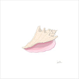 Conch Shell Art Print