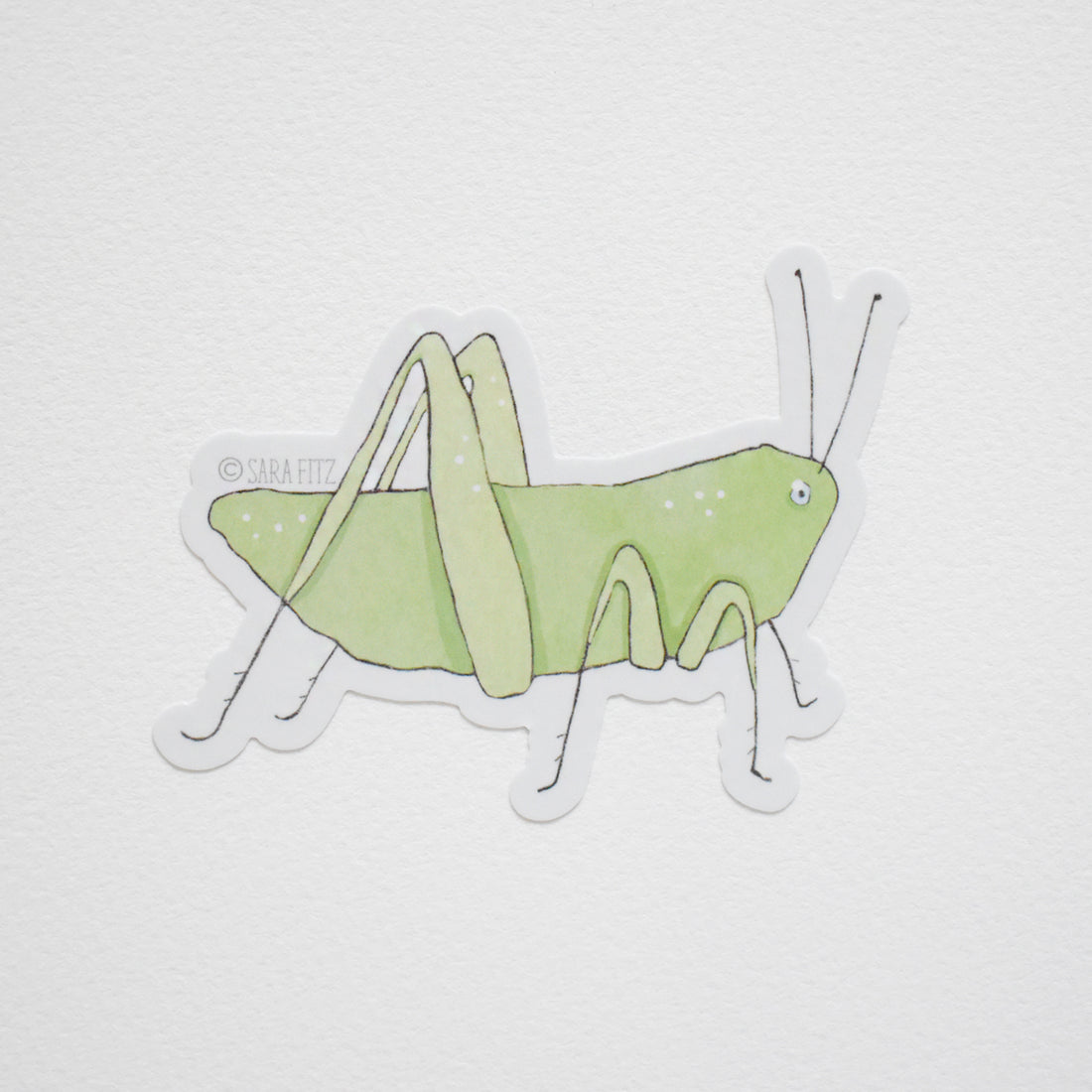 How to draw a Grasshopper step by step – Easy Animals 2 Draw
