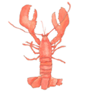 logo of Watercolor Stationery - Sara Fitz